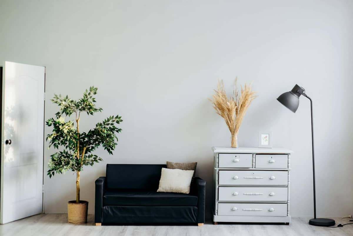 Renovations and Rewiring